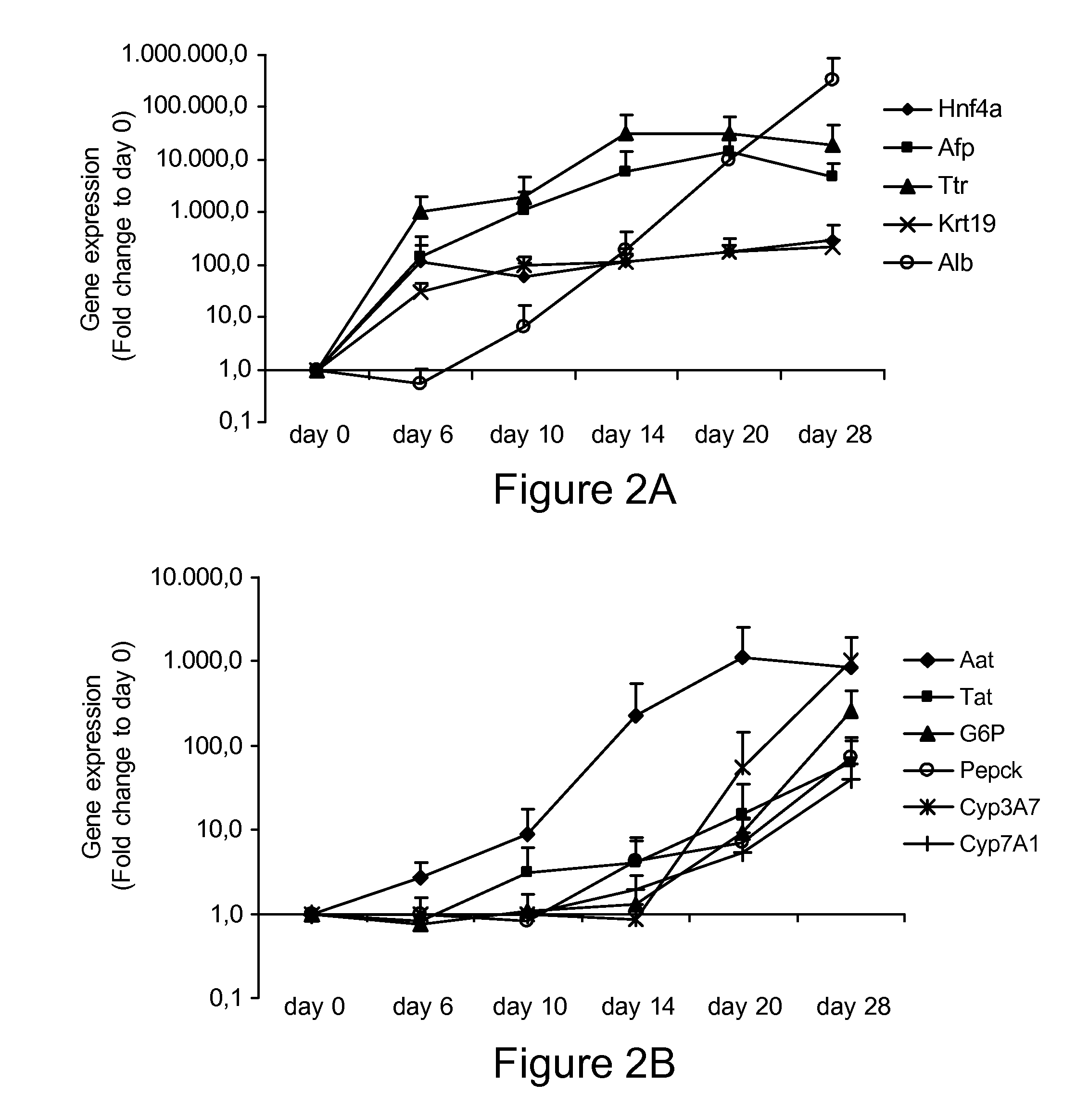 Methods for Differentiating Cells into Hepatic Stellate Cells and Hepatic Sinusoidal Endothelial Cells, Cells Produced by the Methods, and Methods for Using the Cells