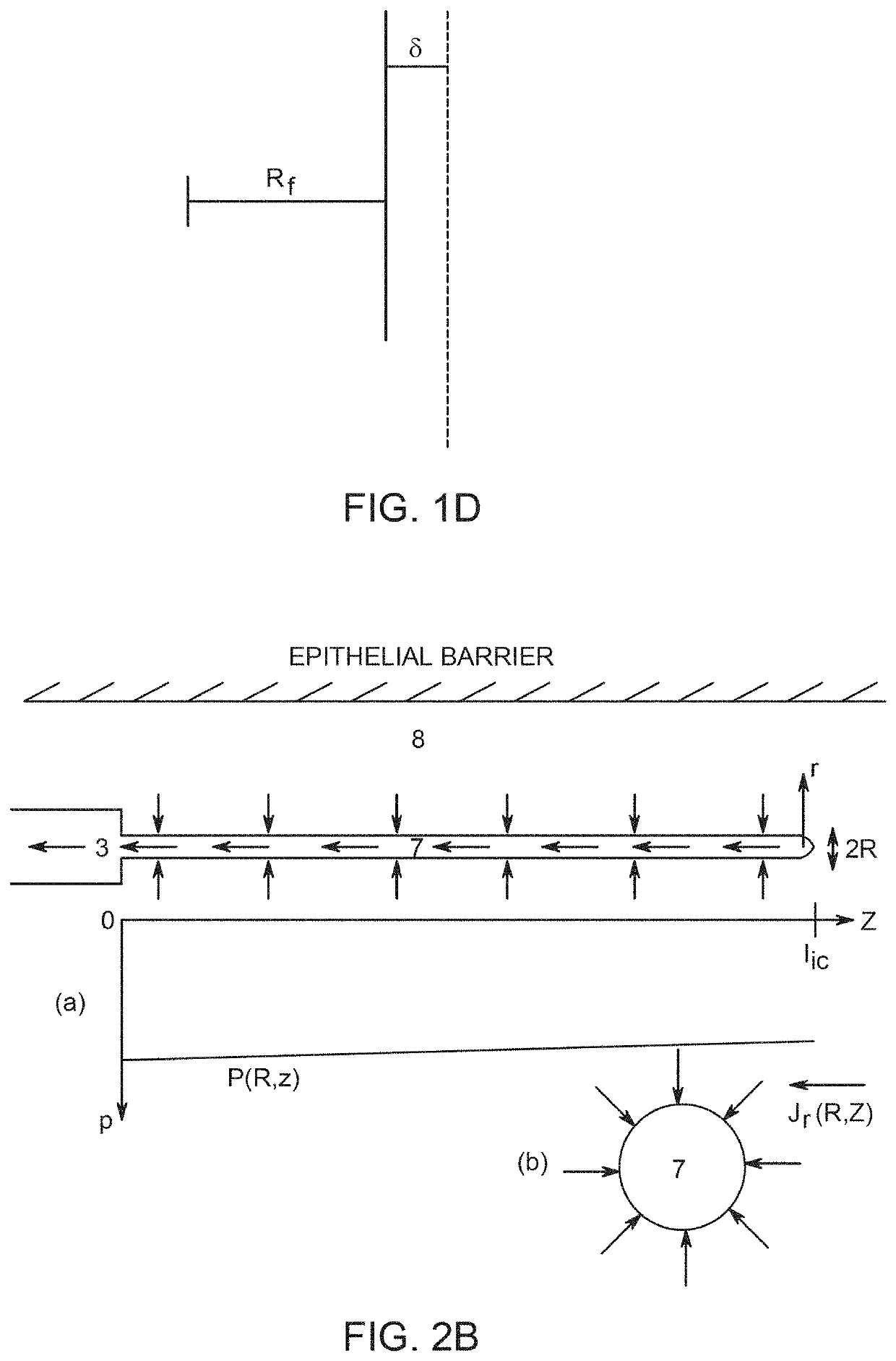 Implants and constructs including hollow fibers