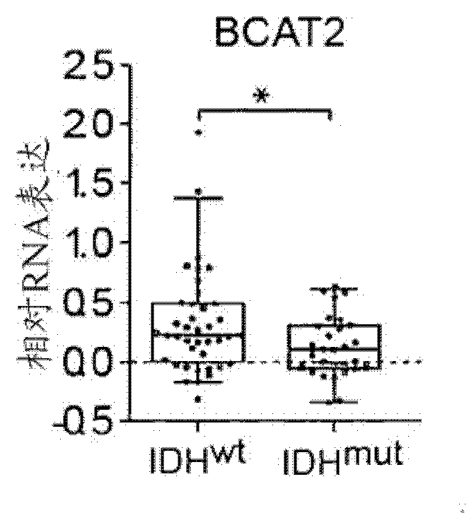 Inhibitors of branched-chain-aminotransferase-1 (BCAT1) for the treatment of brain tumors