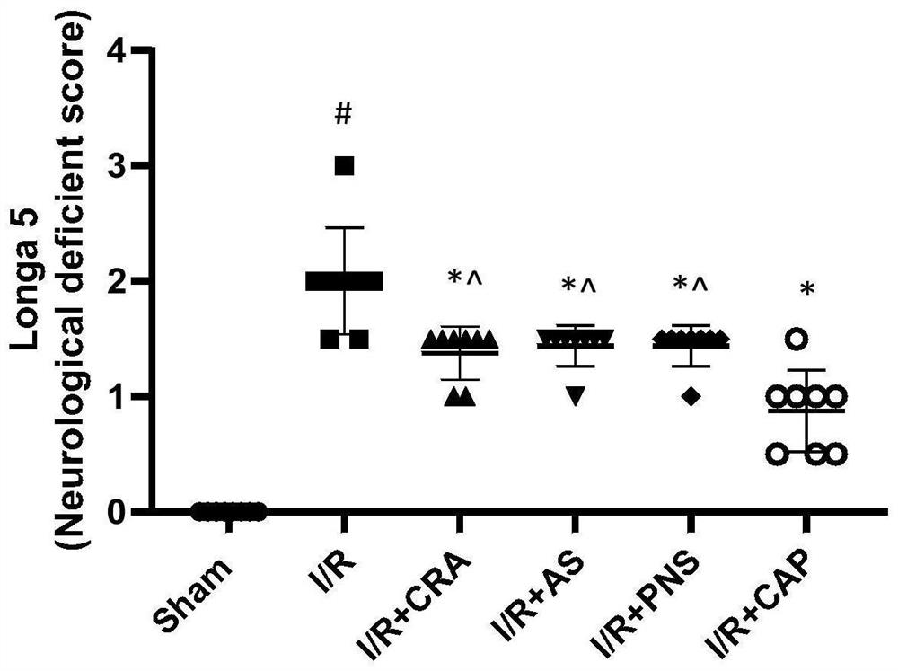 Compound pharmaceutical composition and application thereof