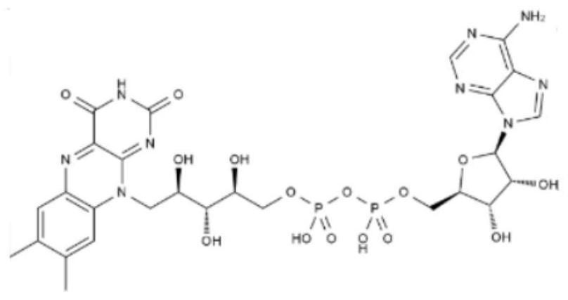 Method for detecting flavoprotein based on three-dimensional fluorescence spectrum