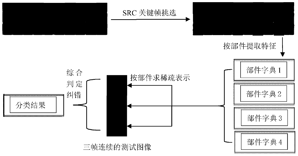 Low-Resolution Face Recognition Method Based on Sparse Representation of Subparts and Compressed Dictionary