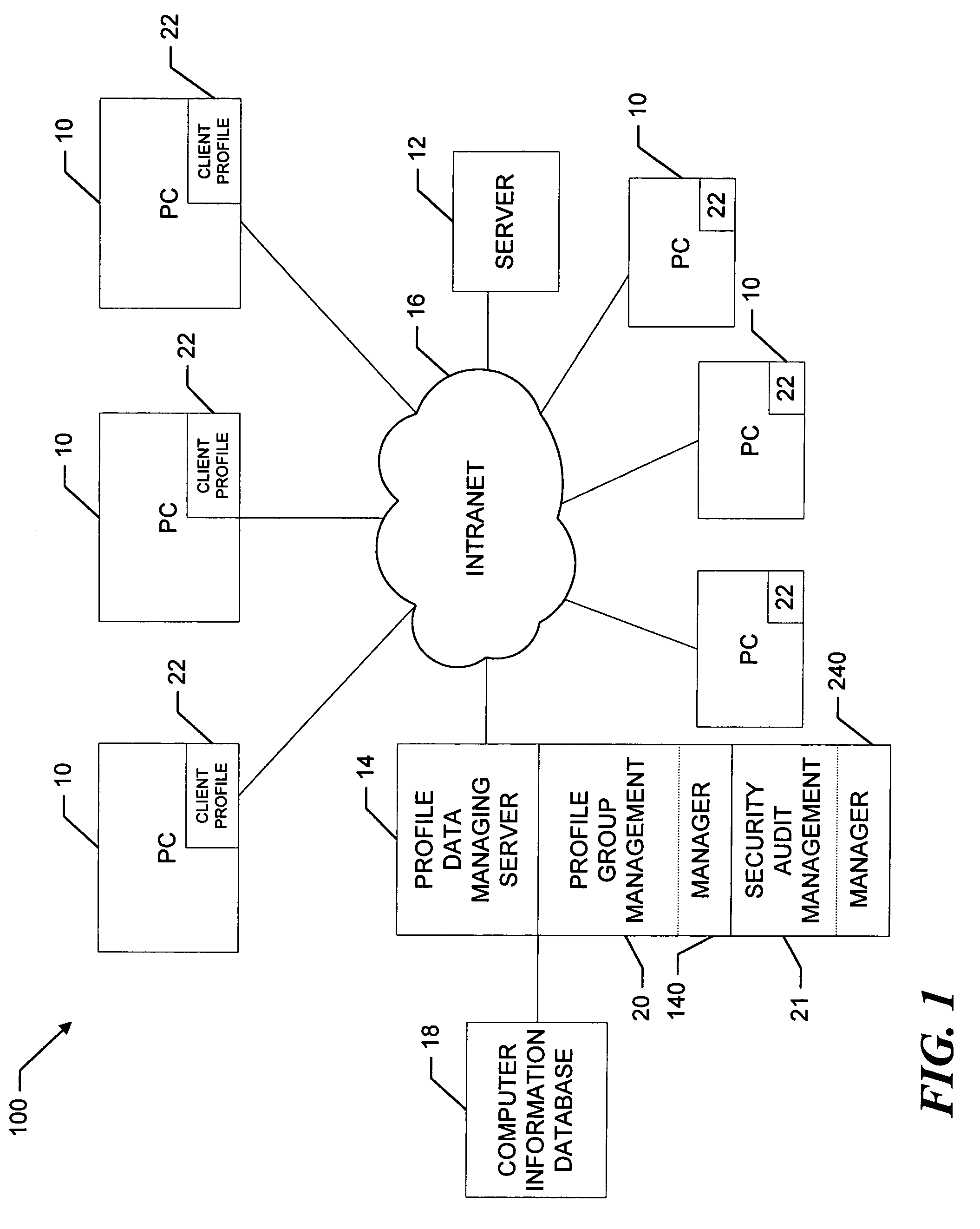 Software update and patch audit subsystem for use in a computer information database system