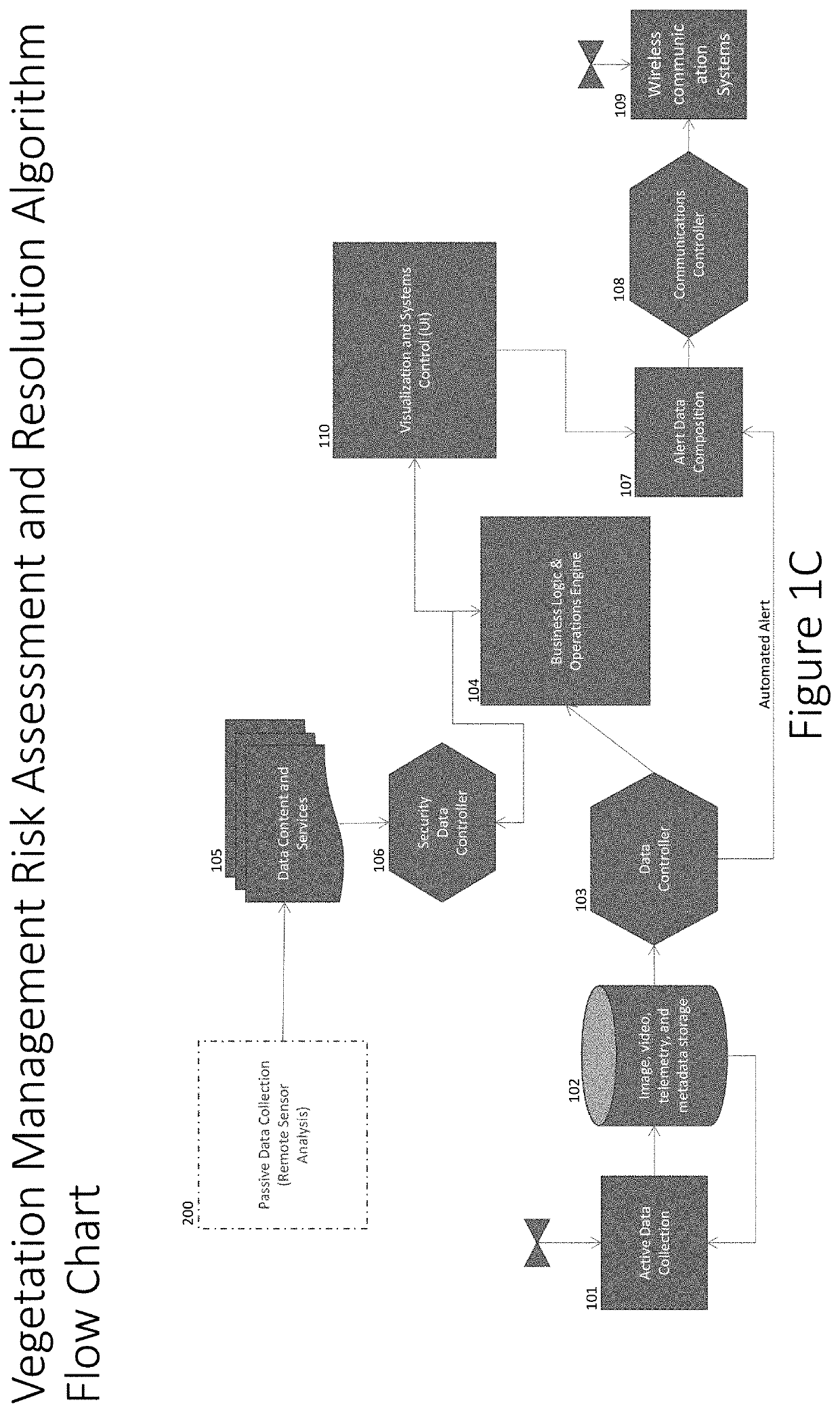 System  and method for vegetation management risk assessment and resolution