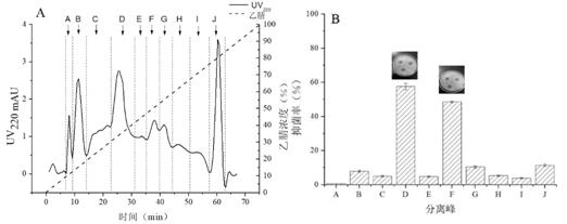 A method for Bacillus amyloliquefaciens to produce antibacterial active substances