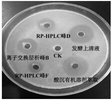 A method for Bacillus amyloliquefaciens to produce antibacterial active substances