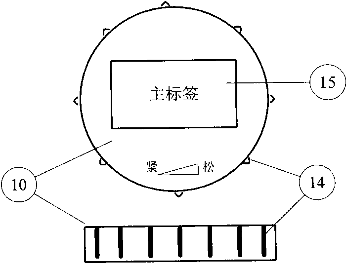 Combined type pathological specimen container and use method thereof