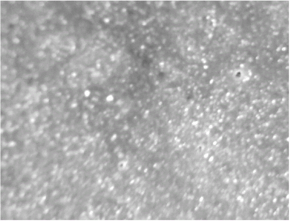 Preparation and construction method of epoxy grouting material for track filling and secondary grouting