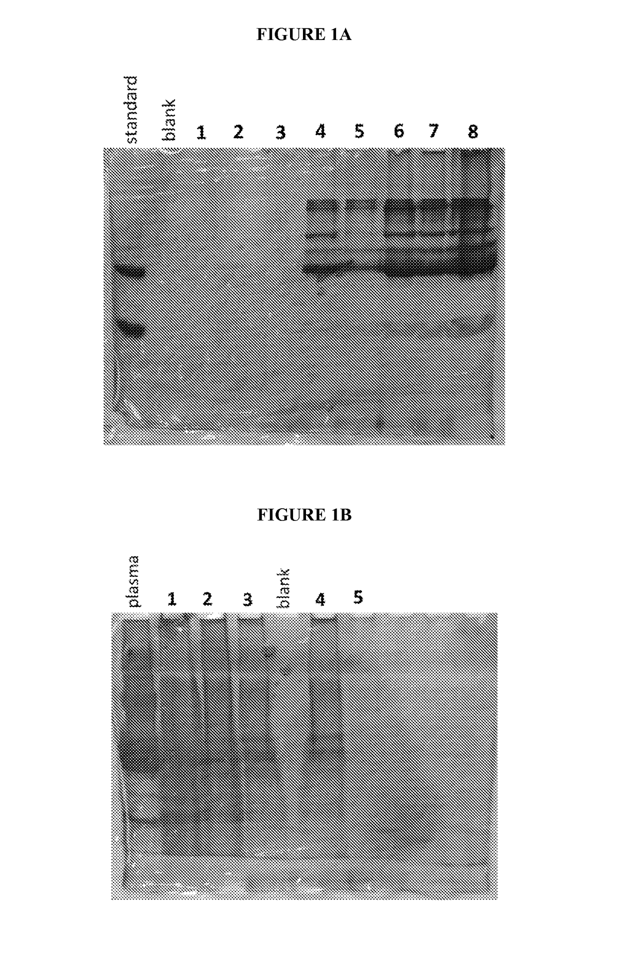 Isolation of cysteine containing peptides