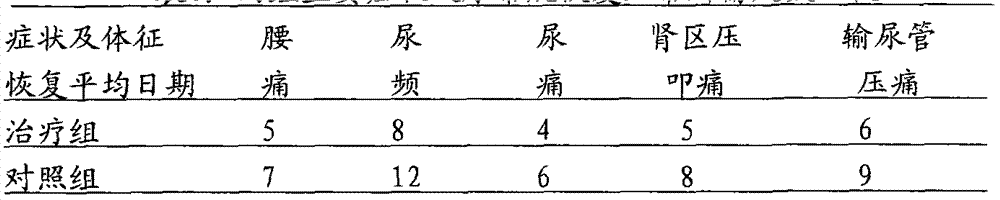 Traditional Chinese medicine preparation of treating chronic pyelonephritis