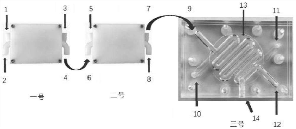 An in vitro simulated digestion box