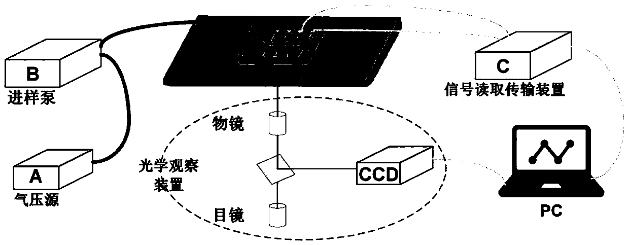 Single cell sorting device and single cell sorting method