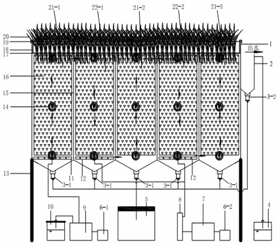 Device for carrying out ecological treatment on sewage with low carbon nitrogen ratio