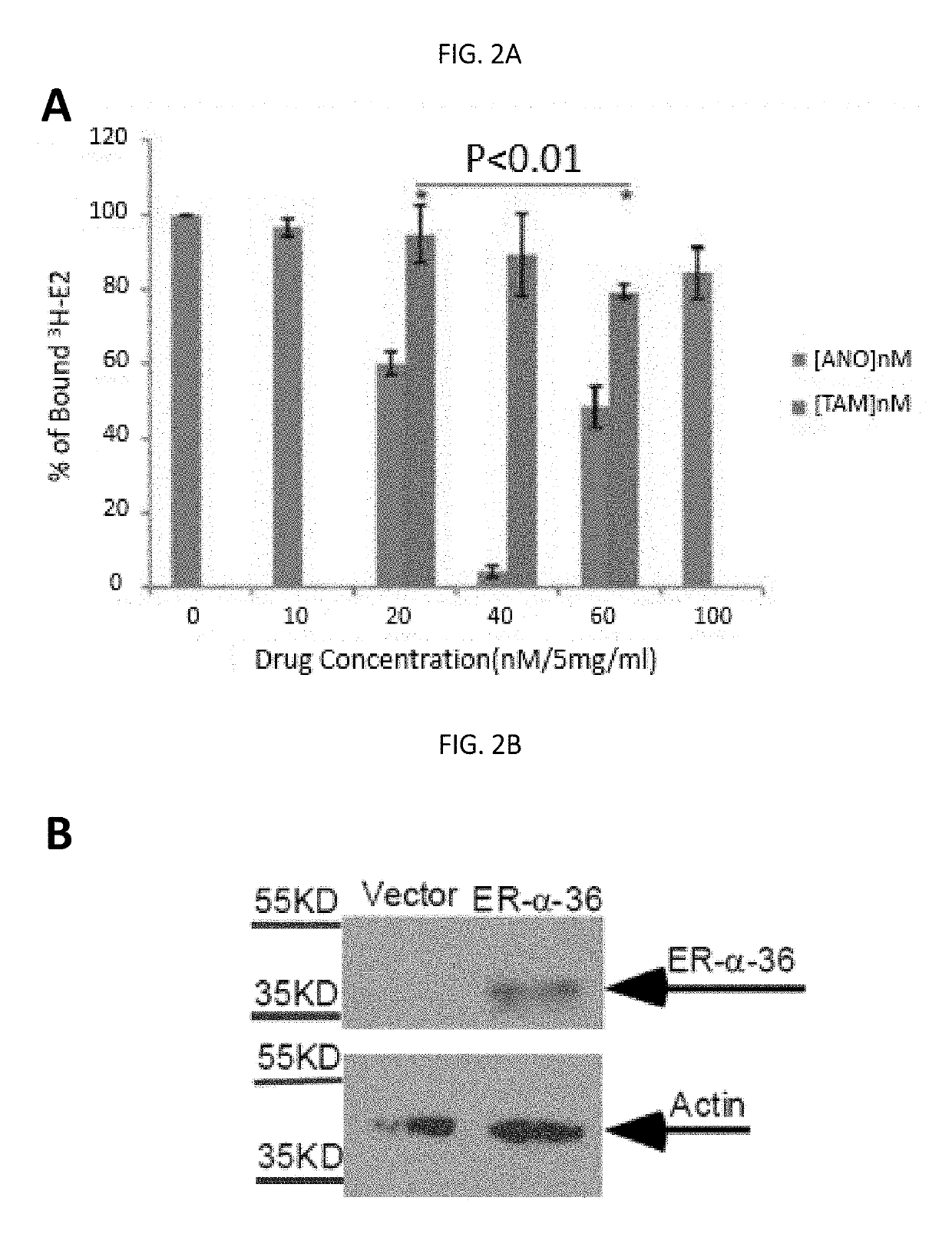 Anordrin compositions and methods for treating diseases