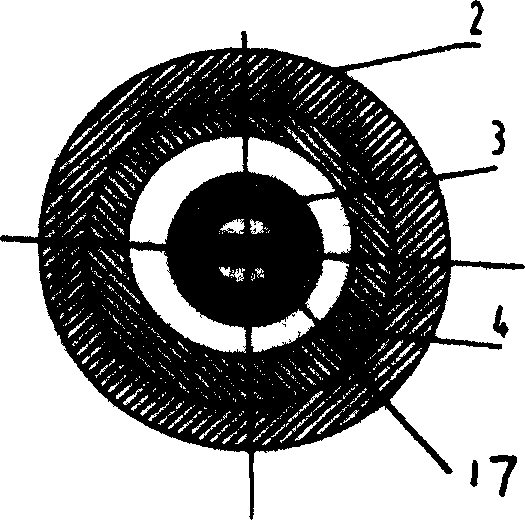 Downhole steam flow and mass dryness fraction measurement method and measurement instrument