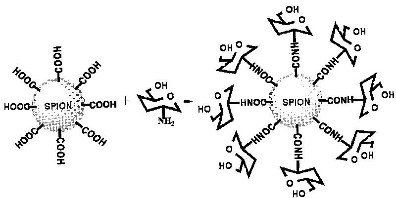 D-glucosamine-modified iron oxide nanoparticles and preparation method of lyophilized powder thereof