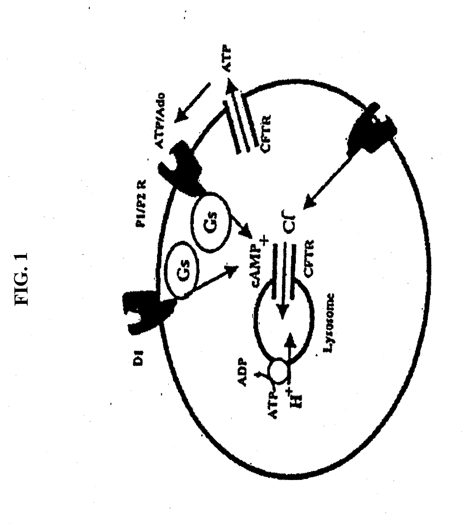 Method for Mediating Dopamine Receptor-Driven Reacidification of Lysosomal pH