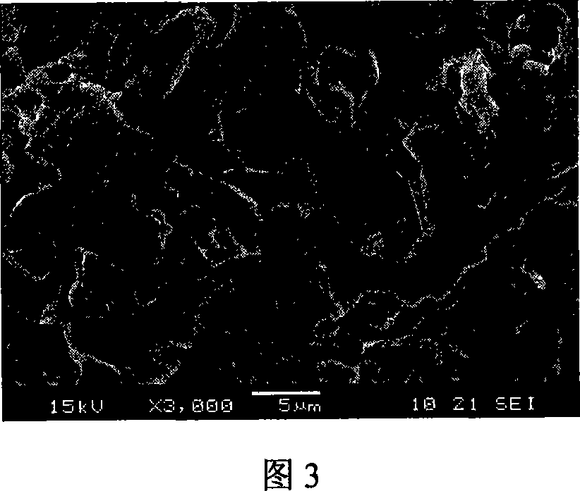 Multi-phase functional ceramic honeycomb support and preparation method thereof