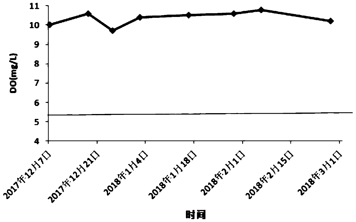 Method for repairing water ecosystem and stepped restoration system of water ecosystem