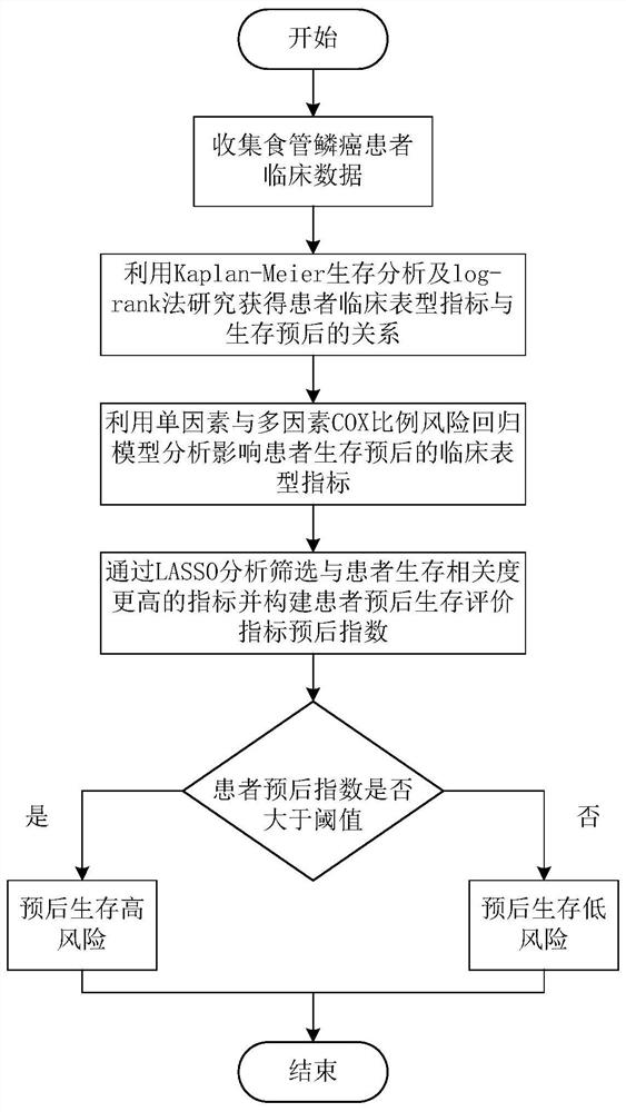 Esophageal squamous cell carcinoma prognosis index model construction method based on clinical phenotype and LASSO