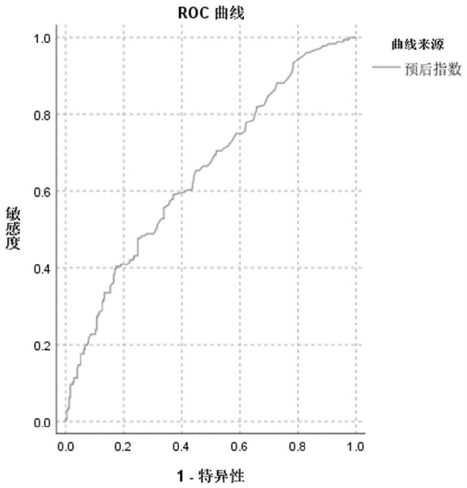 Esophageal squamous cell carcinoma prognosis index model construction method based on clinical phenotype and LASSO