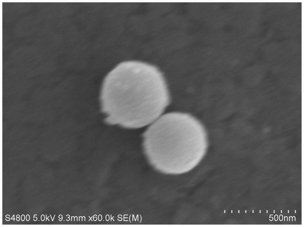 hollow ceo  <sub>2</sub> Sphere@co-n/c nanocomposite material and its preparation method and application