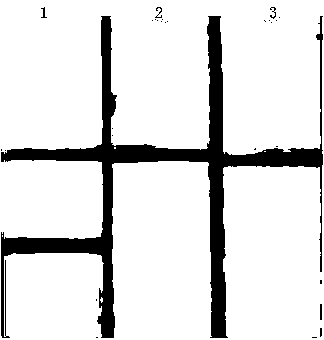 Borrelia burgdorferi detection kit and application thereof