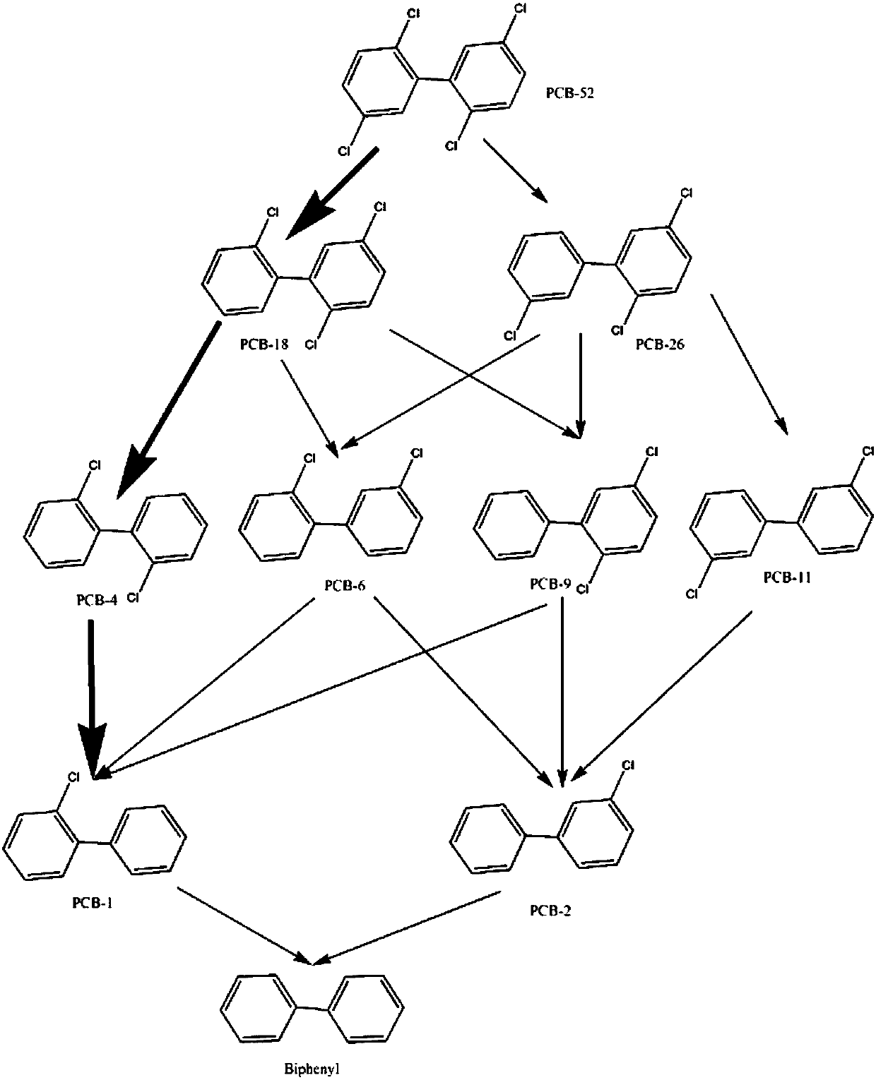 Method for promoting polychlorinated biphenyl degradation by zero-valent iron