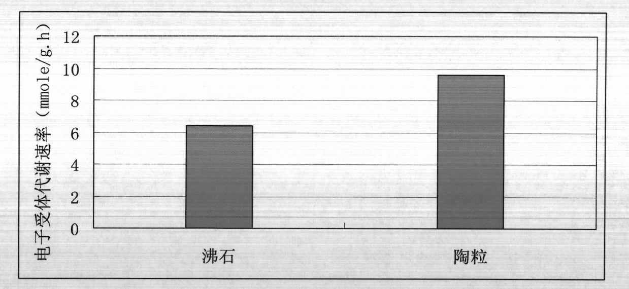 Method for measuring activity of packing biological membranes of artificial wetlands