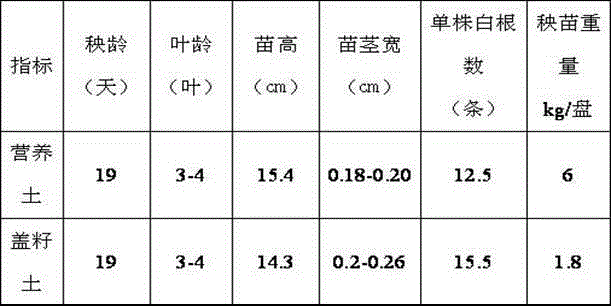 Rice seedling raising seed covering soil and preparation method thereof