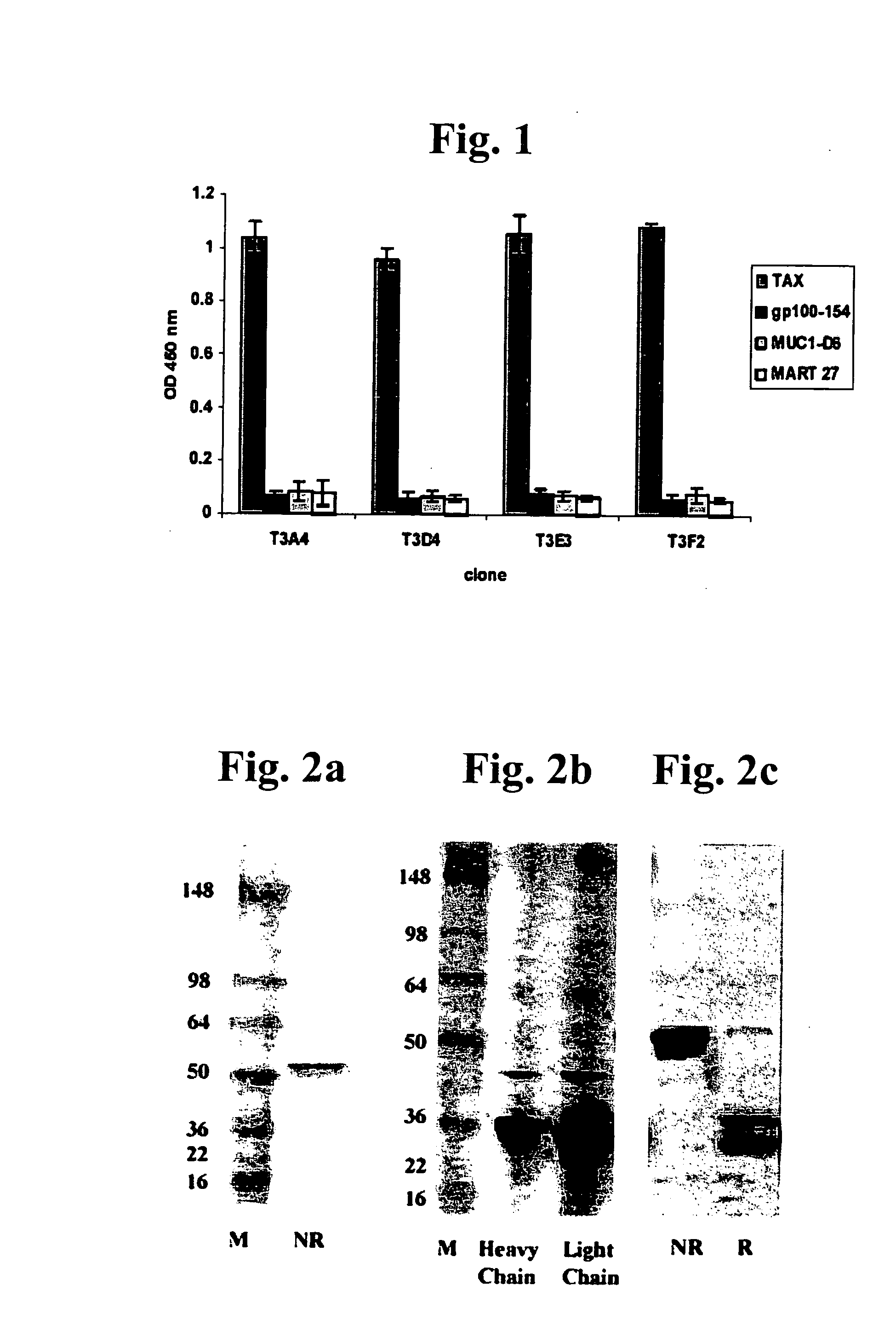 Compositions capable of specifically binding particular human antigen presenting molecule/pathogen-derived antigen complexes and uses thereof