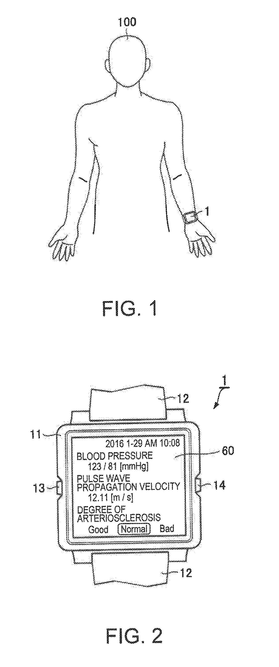 Biological information measurement apparatus and biological information measurement method