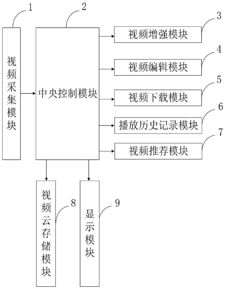 Network computer multimedia video playing system