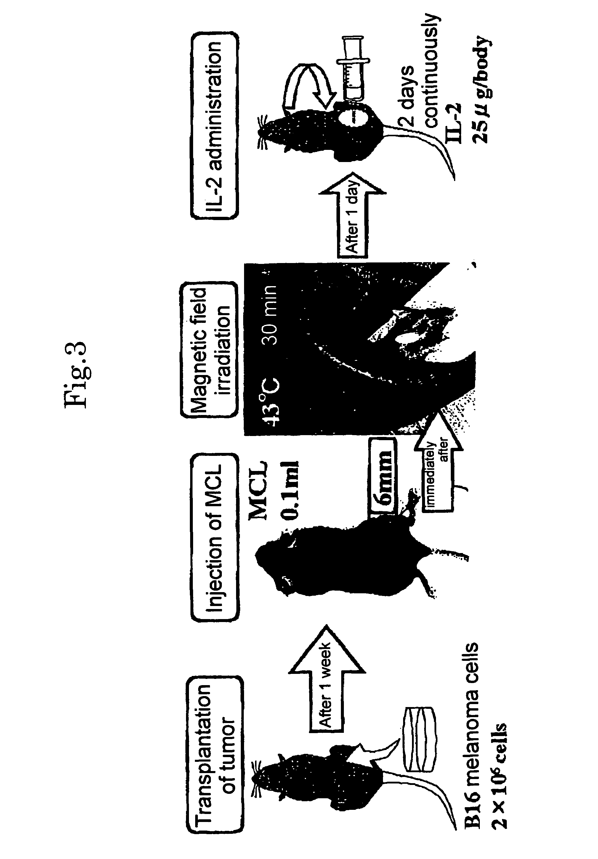 Hyperthermia agent for malignant tumor comprising cytokine and magnetic fine particles