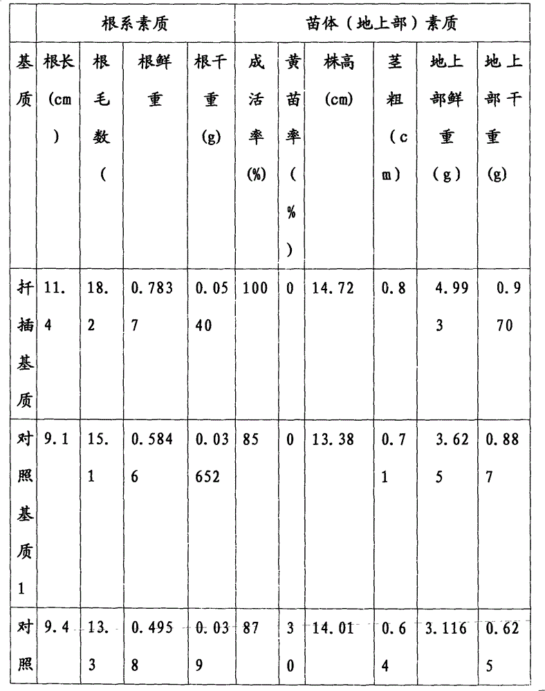 Method for raising watermelon seedlings by dual-root-cutting grafting