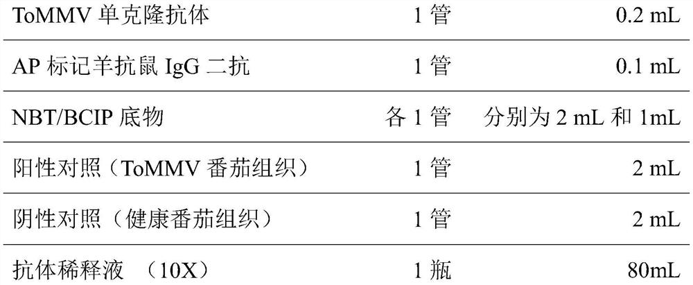 Hybridoma cell line secreting tomato mottle mosaic virus monoclonal antibody and its application