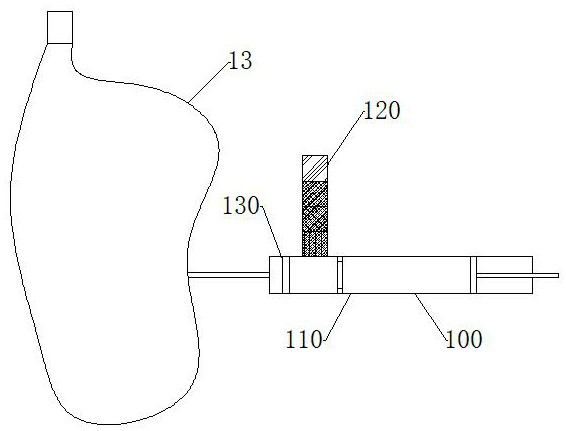 An anesthetic gas purification device