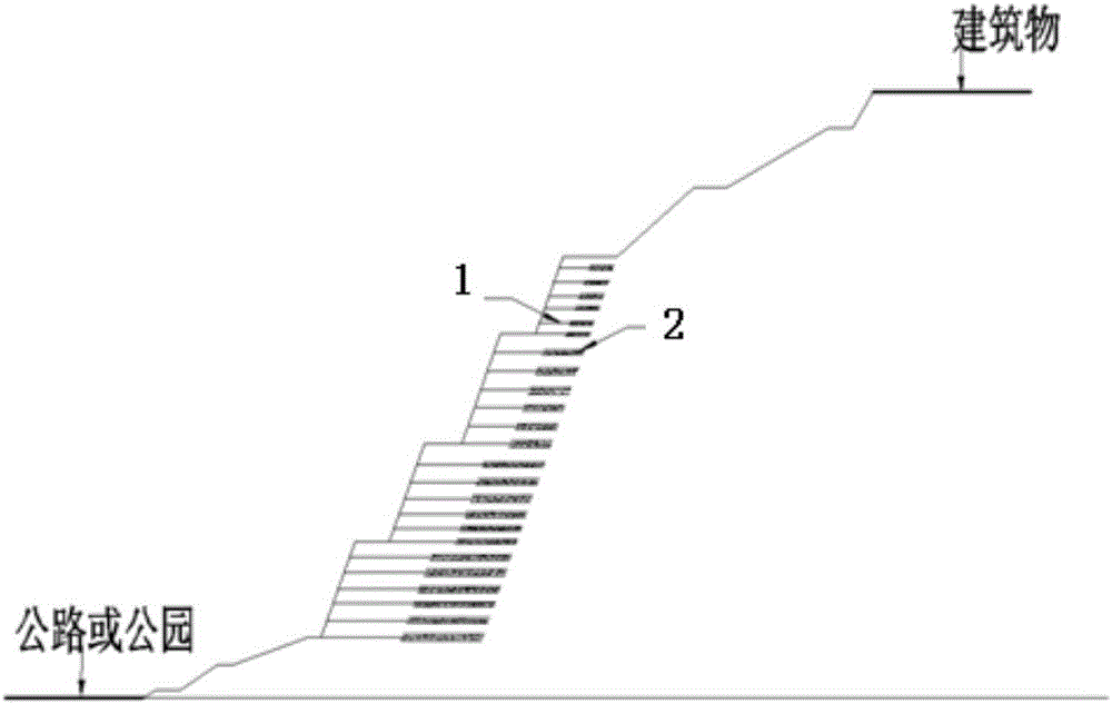 Microorganism-geogrid combined reinforcement method