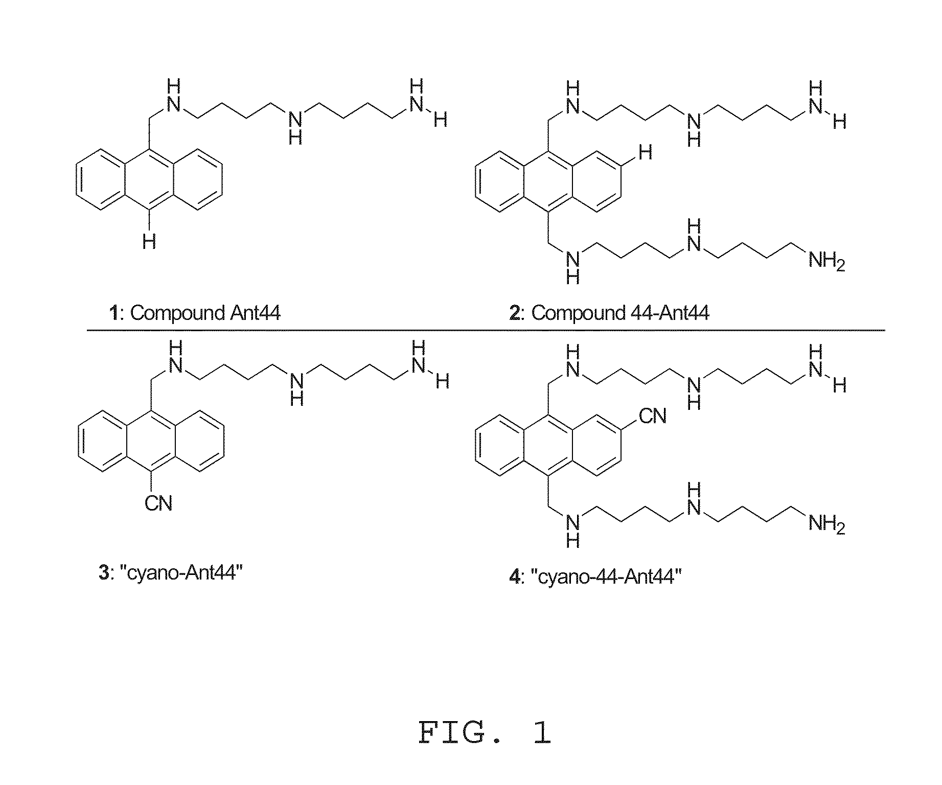 Fluorescent cytotoxic compounds specific for the cellular polyamine transport system