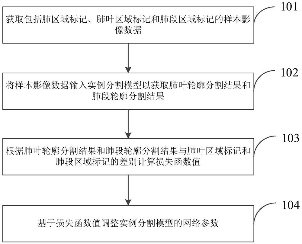 Lung lobe lung segment segmentation model training method and device