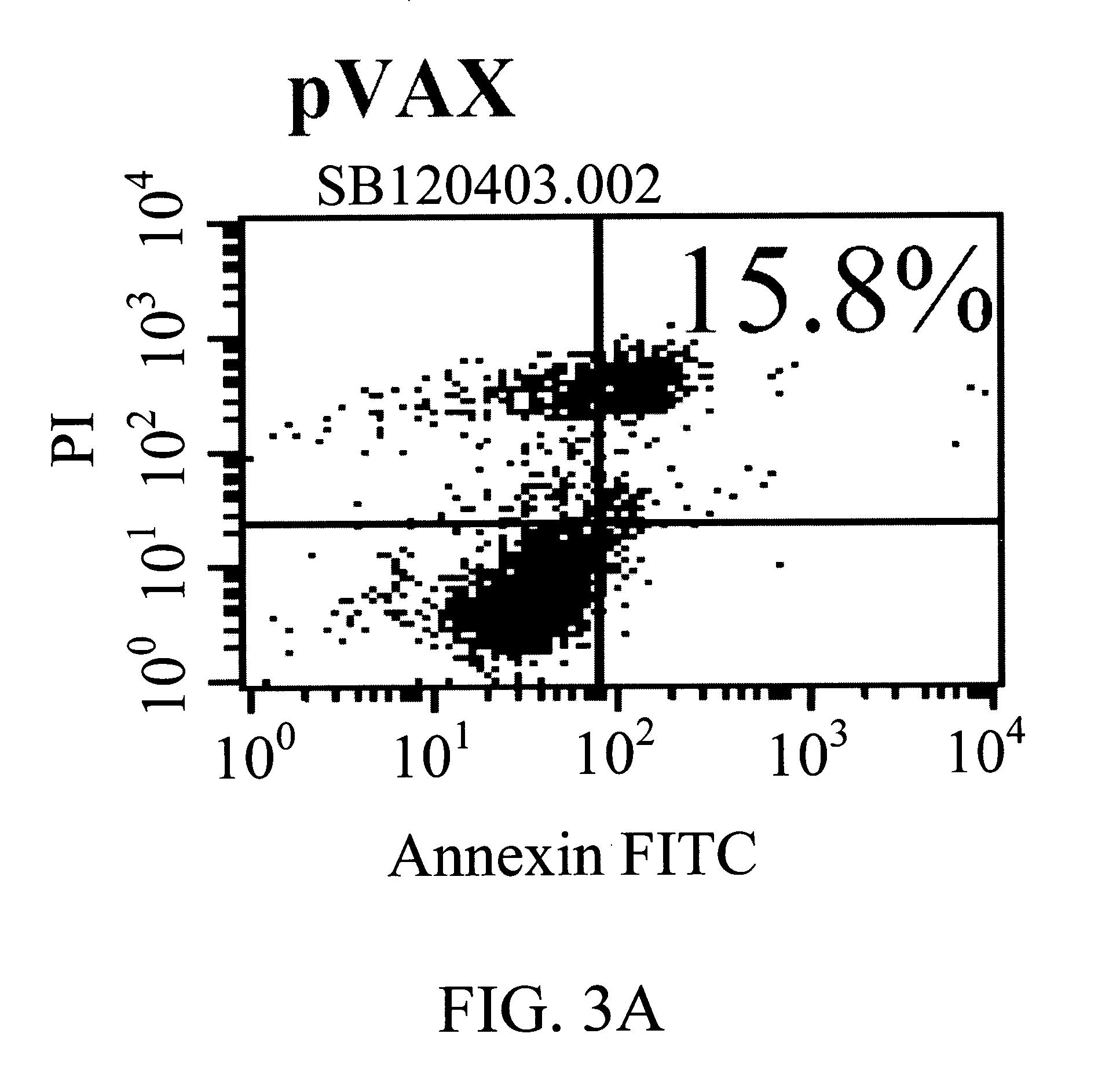 Materials and methods for treatment of inflammatory and cell proliferation disorders