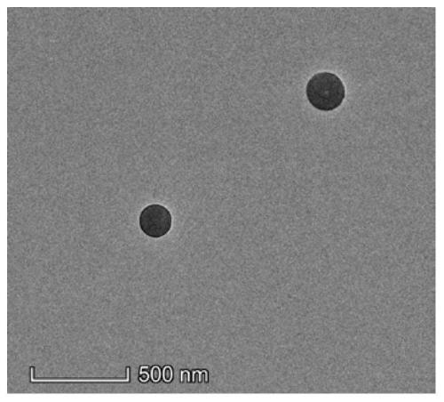 Polymer carrier, preparation method of polymer carrier and anti-tumor nano particle