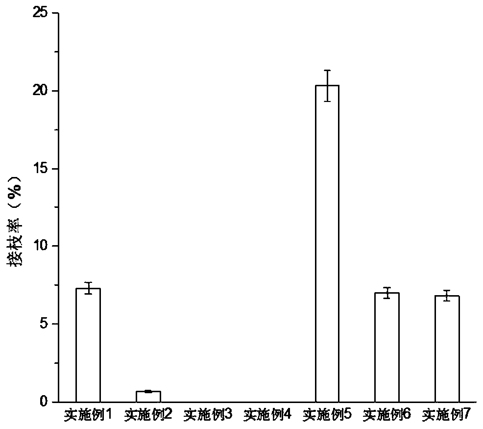 Material with biological adhesive and biodegradable component, and preparation method and application thereof