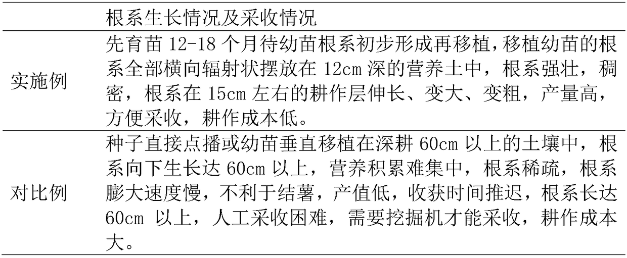 Cultivation method for inhibiting influence of trichoderma viride on millettia speciosa champ