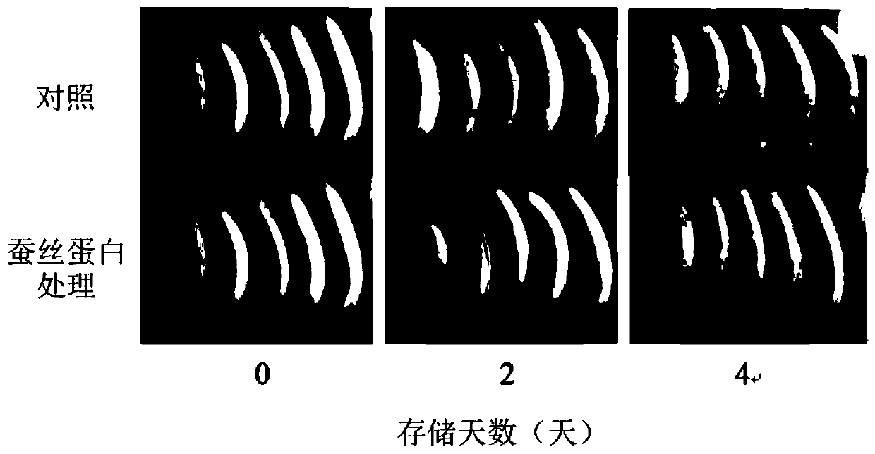 Application of fibroin and fruit and vegetable storage method