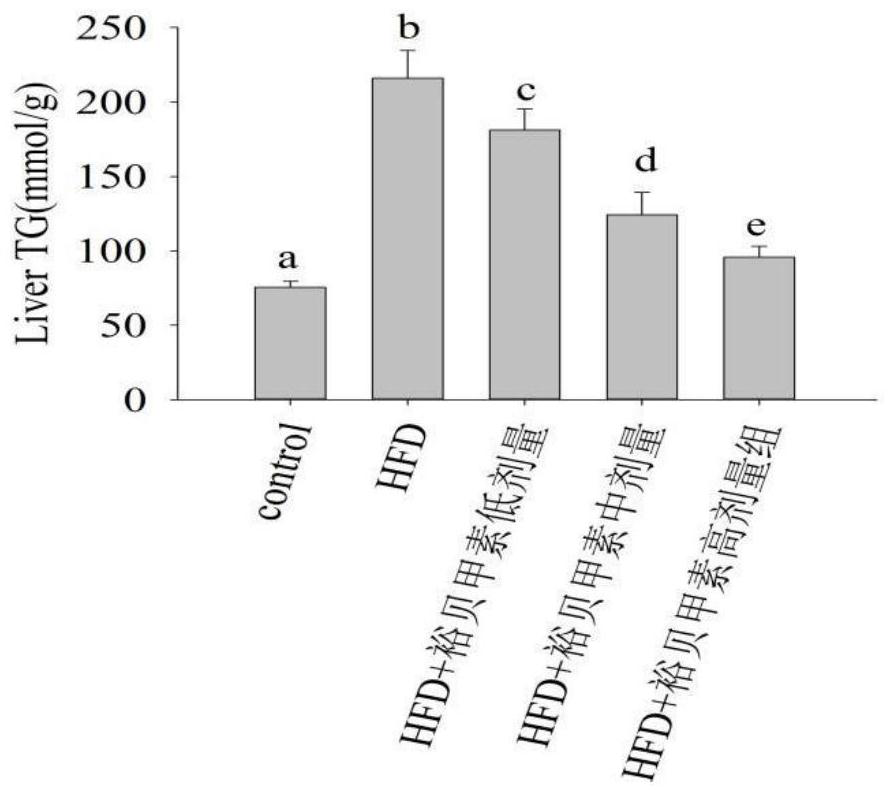 Application of Yubeinine to preparation of medicine for preventing or treating non-alcoholic fatty liver disease