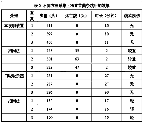 Quick collecting device of adults of Phyllotreta striolata (Fabricius) and using method of quick collecting device