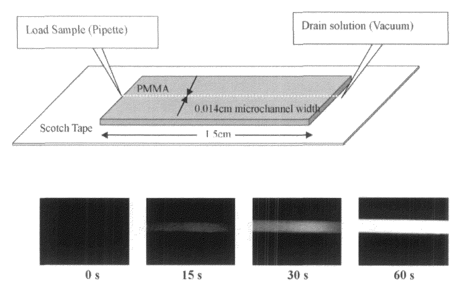 Aminated materials for assays