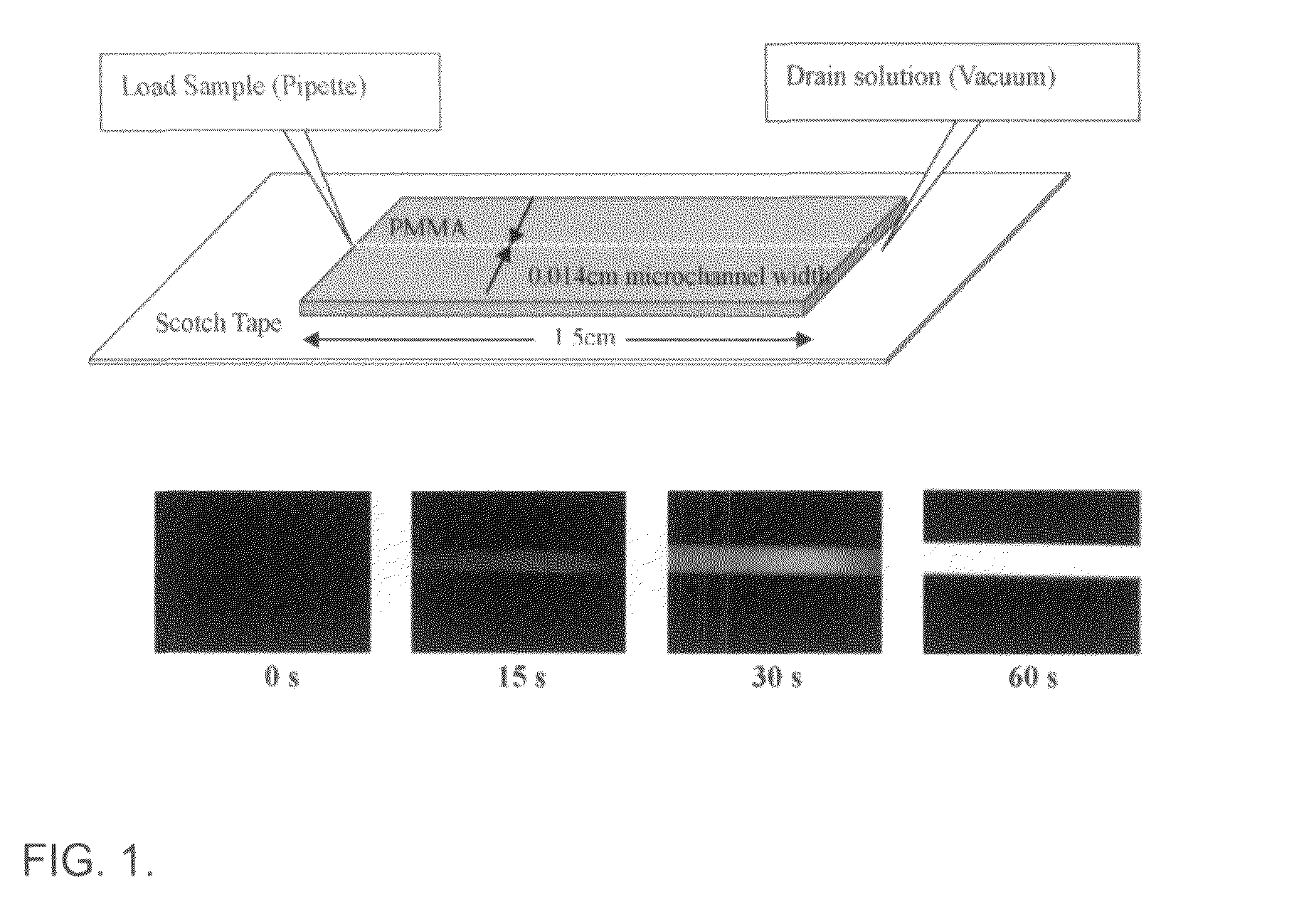 Aminated materials for assays