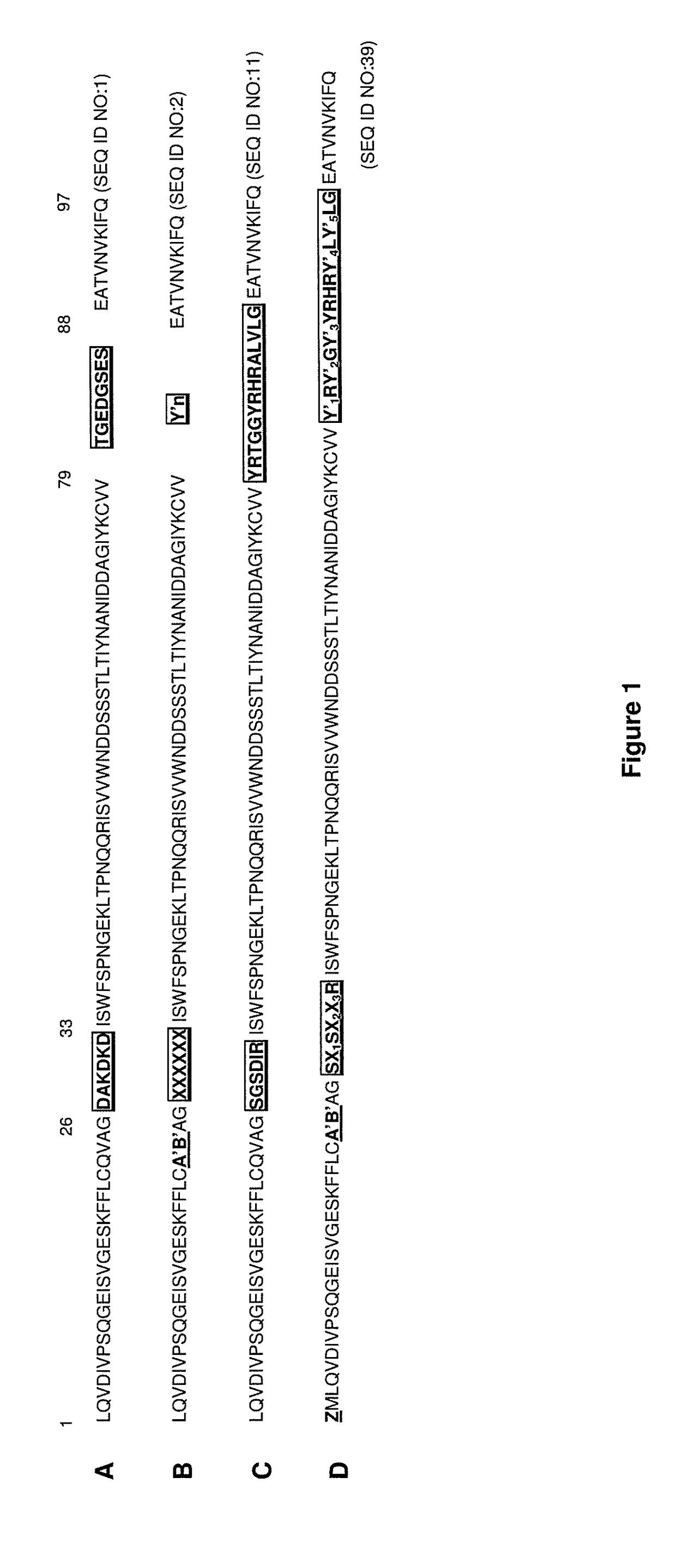 Cxcr4 binding molecules